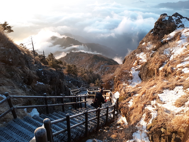 jirsian-full-course-2